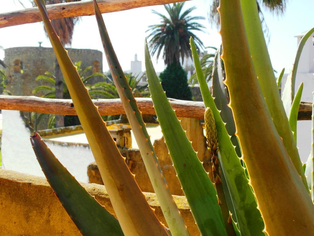 Patio De La Luna Asilah Dış mekan fotoğraf